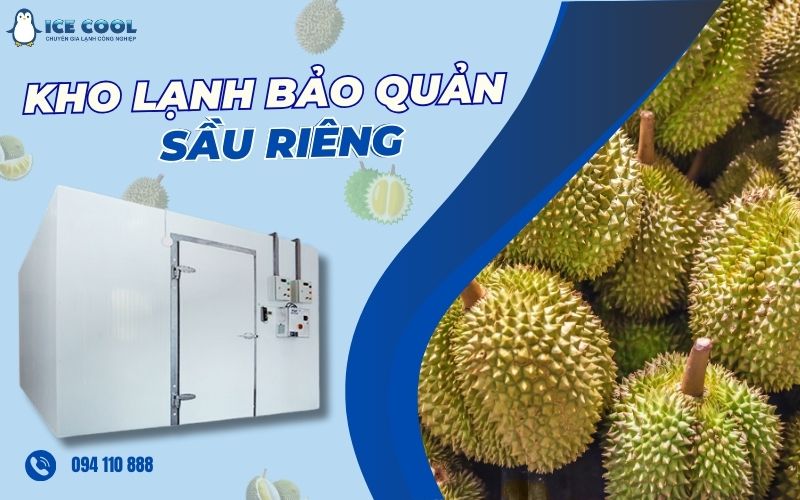 Kho lạnh bảo quản sầu riêng Kho lạnh bảo quản sầu riêng