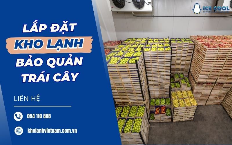 Lắp đặt kho lạnh bảo quản trái cây