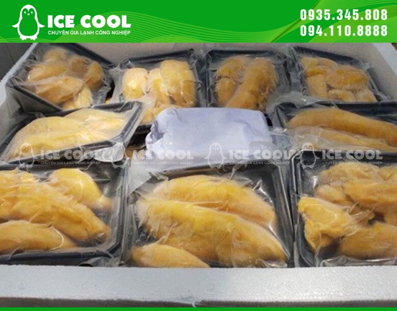 Sầu riêng bảo quản lạnh
