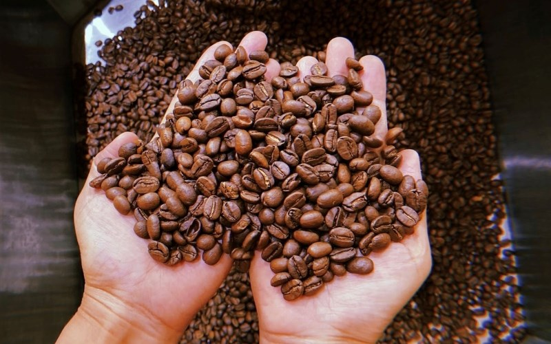 Sấy khô cà phê trước khi bảo quản trong kho lạnh