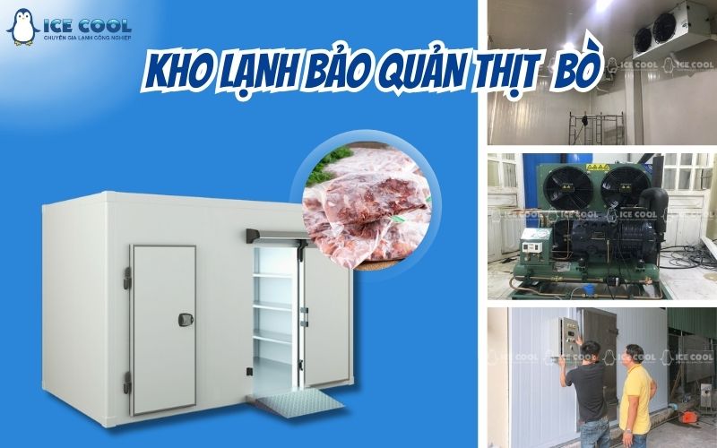 Kho lạnh bảo quản thịt bò Kho lạnh bảo quản thịt bò
